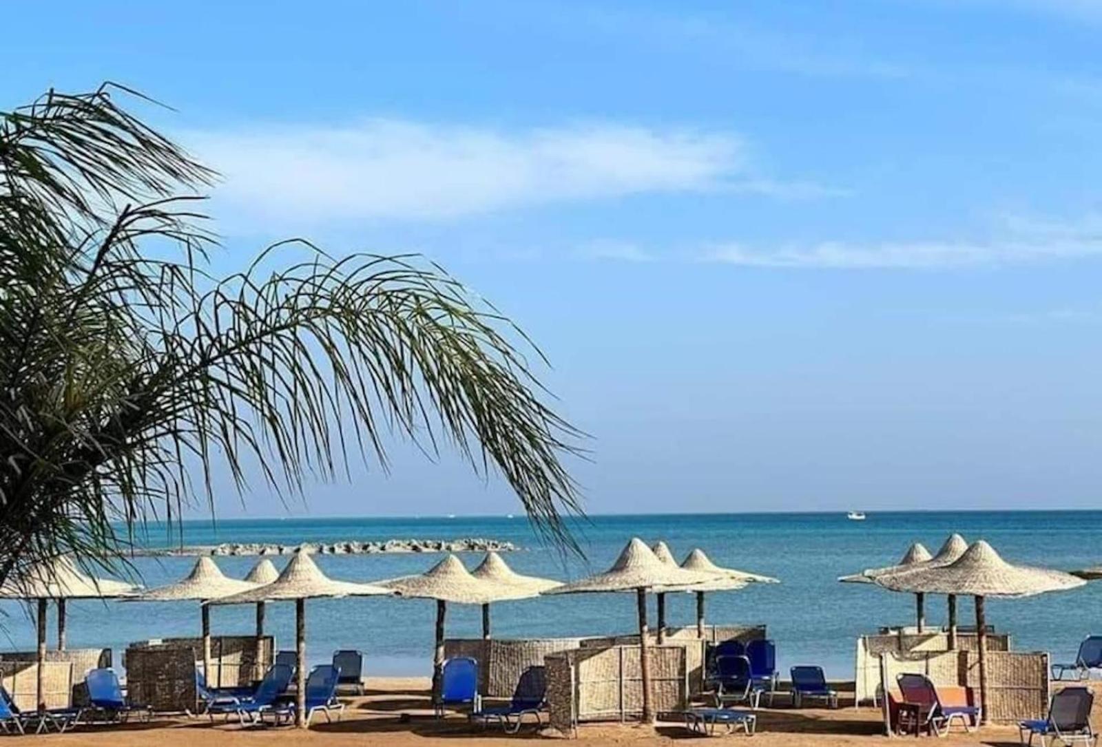 Comfort Zone At Turtles Beach Resort Hurghada Esterno foto